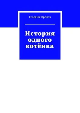 Георгий Фролов История одного котёнка обложка книги