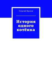 Георгий Фролов - История одного котёнка
