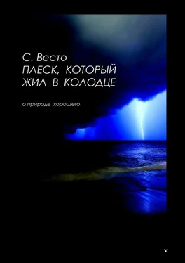 Сен Весто Плеск, который жил в колодце. О природе хорошего обложка книги