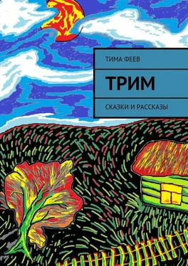 Тима Феев Трим. Сказки и рассказы обложка книги