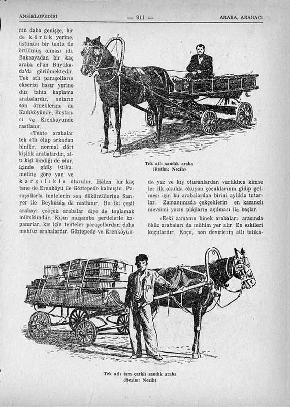 Когда же он понял что его коллекция может достигнуть необъятных размеров он - фото 101