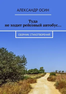 Александр Осин Туда не ходит рейсовый автобус… Сборник стихотворений обложка книги