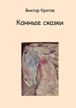 Виктор Кротов Конные сказки обложка книги