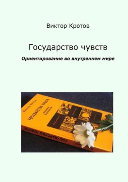 Виктор Кротов Государство чувств. Ориентирование во внутреннем мире обложка книги