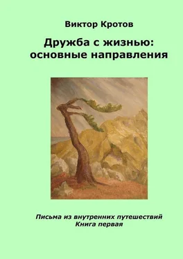 Виктор Кротов Дружба с жизнью: основные направления. Письма из внутренних путешествий. Книга первая обложка книги