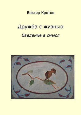 Виктор Кротов Дружба с жизнью: введение в смысл. Ознакомительное введение обложка книги