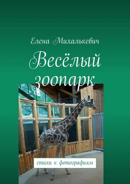 Елена Михалькевич Весёлый зоопарк. Стихи к фотографиям обложка книги