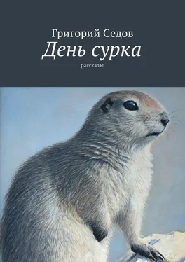 Григорий Седов День сурка. Рассказы обложка книги