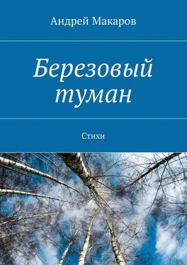 Андрей Макаров Березовый туман. Стихи обложка книги