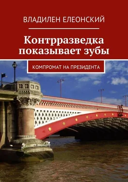 Владилен Елеонский Контрразведка показывает зубы. Компромат на Президента обложка книги