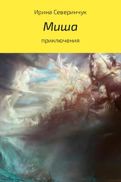 Ирина Северинчук Миша обложка книги