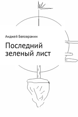 Анджей Беловранин Последний зеленый лист обложка книги