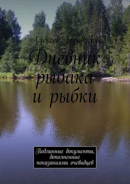 Алексей Городилов Дневник рыбака и рыбки. Подлинные документы, дополненные показаниями очевидцев обложка книги