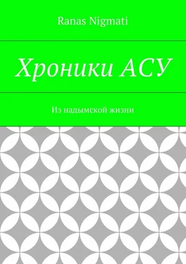 Ranas Nigmati Хроники АСУ. Из надымской жизни обложка книги