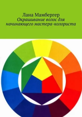 Лана Мамбергер Окрашивание волос для начинающего мастера-колориста обложка книги