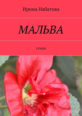 Ирина Набатова Мальва. Стихи обложка книги