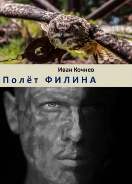 Иван Кочнев Полёт Филина обложка книги