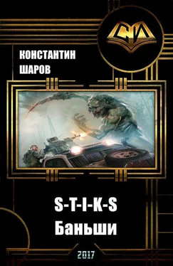 Константин Шаров S-T-I-K-S. Баньши (СИ) обложка книги