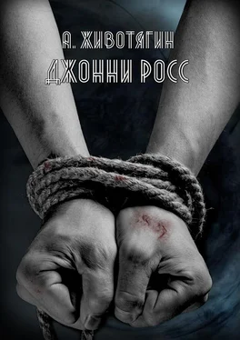 Алексей Животягин Джонни Росс обложка книги