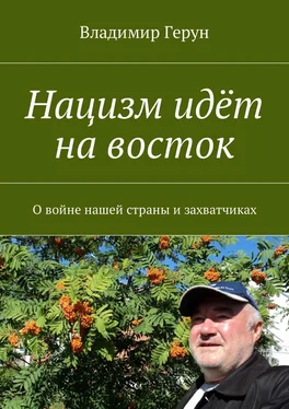 Владимир Герун Нацизм идёт на восток. О войне нашей страны и захватчиках обложка книги