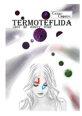 Савао Сириус TERMOTEFLIDA. Свет не имеет тени обложка книги