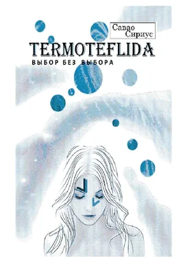 Савао Сириус TERMOTEFLIDA. Выбор без выбора обложка книги