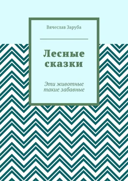 Вячеслав Заруба Лесные сказки. Эти животные такие забавные обложка книги