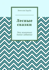 Вячеслав Заруба - Лесные сказки. Эти животные такие забавные