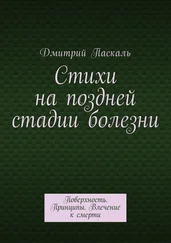 Дмитрий Паскаль - Стихи на поздней стадии болезни. Поверхность. Принципы. Влечение к смерти