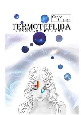 Савао Сириус TERMOTEFLIDA. Эволюция разума обложка книги