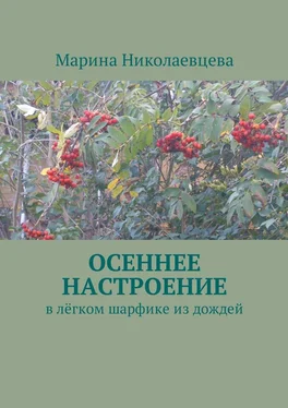 Марина Николаевцева Осеннее настроение. В лёгком шарфике из дождей обложка книги