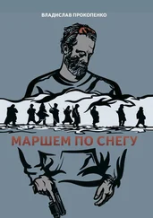 Владислав Прокопенко - Маршем по снегу