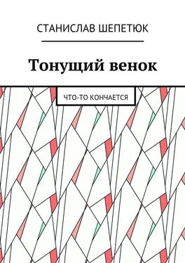 Станислав Шепетюк Тонущий венок. Что-то кончается обложка книги