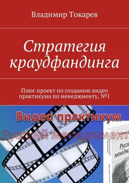 Владимир Токарев Стратегия краудфандинга. Плюс проект по созданию видео практикума по менеджменту, №1 обложка книги