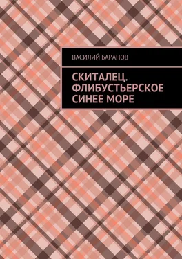 Василий Баранов Скиталец. Флибустьерское синее море обложка книги