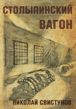 Николай Свистунов Столыпинский вагон, или Тюремные приключения мэра обложка книги
