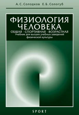 Алексей Солодков Физиология человека. Общая. Спортивная. Возрастная: учебник, 7-е издание обложка книги