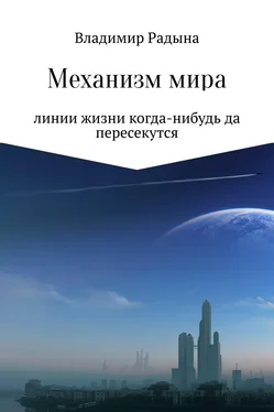 Владимир Радына Механизм мира обложка книги