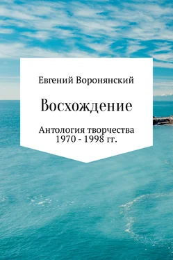 Евгений Воронянский Восхождение обложка книги