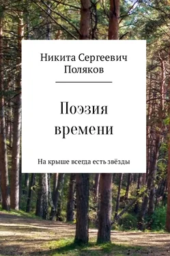 Никита Поляков Поэзия времени обложка книги