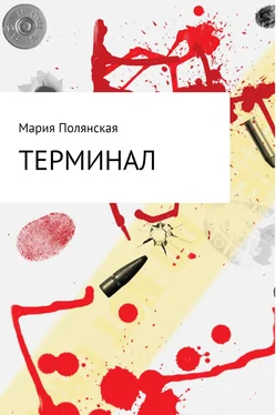 Мария Полянская Терминал обложка книги