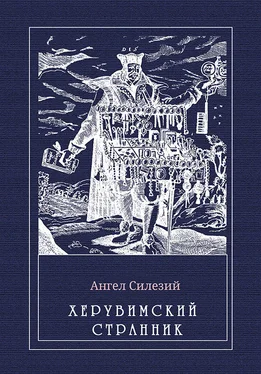 Ангел Силезий Херувимский странник обложка книги