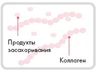 1 Подавление антиоксидантов Ультрафиолетовое излучение способствует появлению - фото 9