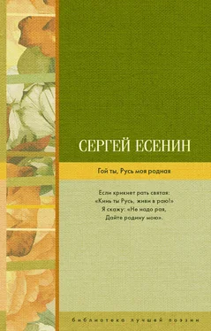 Сергей Есенин Гой ты, Русь моя родная (сборник) обложка книги