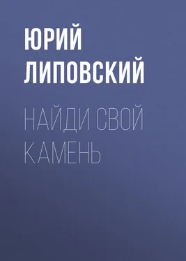 Юрий Липовский Найди свой камень обложка книги