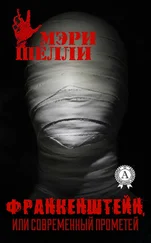 Мэри Шэлли - Франкенштейн, или Современный Прометей (С иллюстрациями)