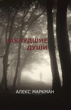 Алекс Маркман Заблудшие души (сборник) обложка книги