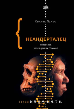 Сванте Пэабо Неандерталец. В поисках исчезнувших геномов обложка книги