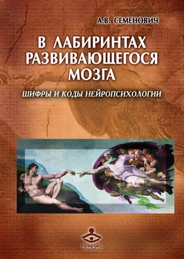 Анна Семенович В лабиринтах развивающегося мозга. Шифры и коды нейропсихологии обложка книги