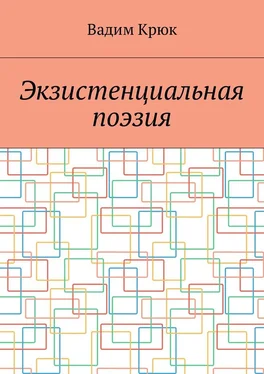 Вадим Крюк Экзистенциальная поэзия обложка книги